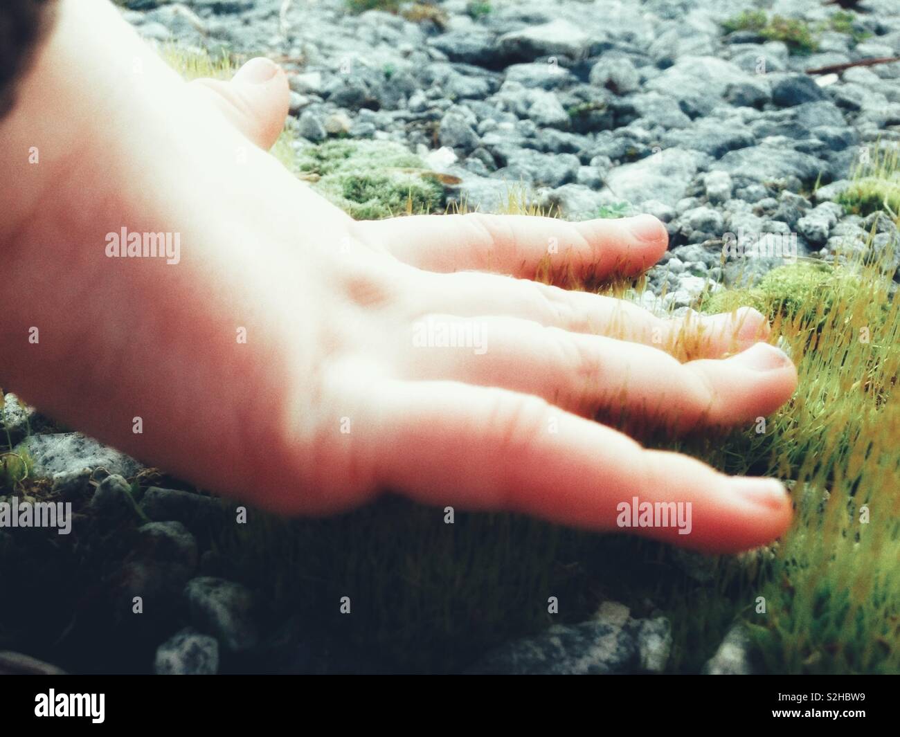 Small child's hand touches soft green grass sprouts during February thaw in North Carolina - Smartphone Captured Stock Image