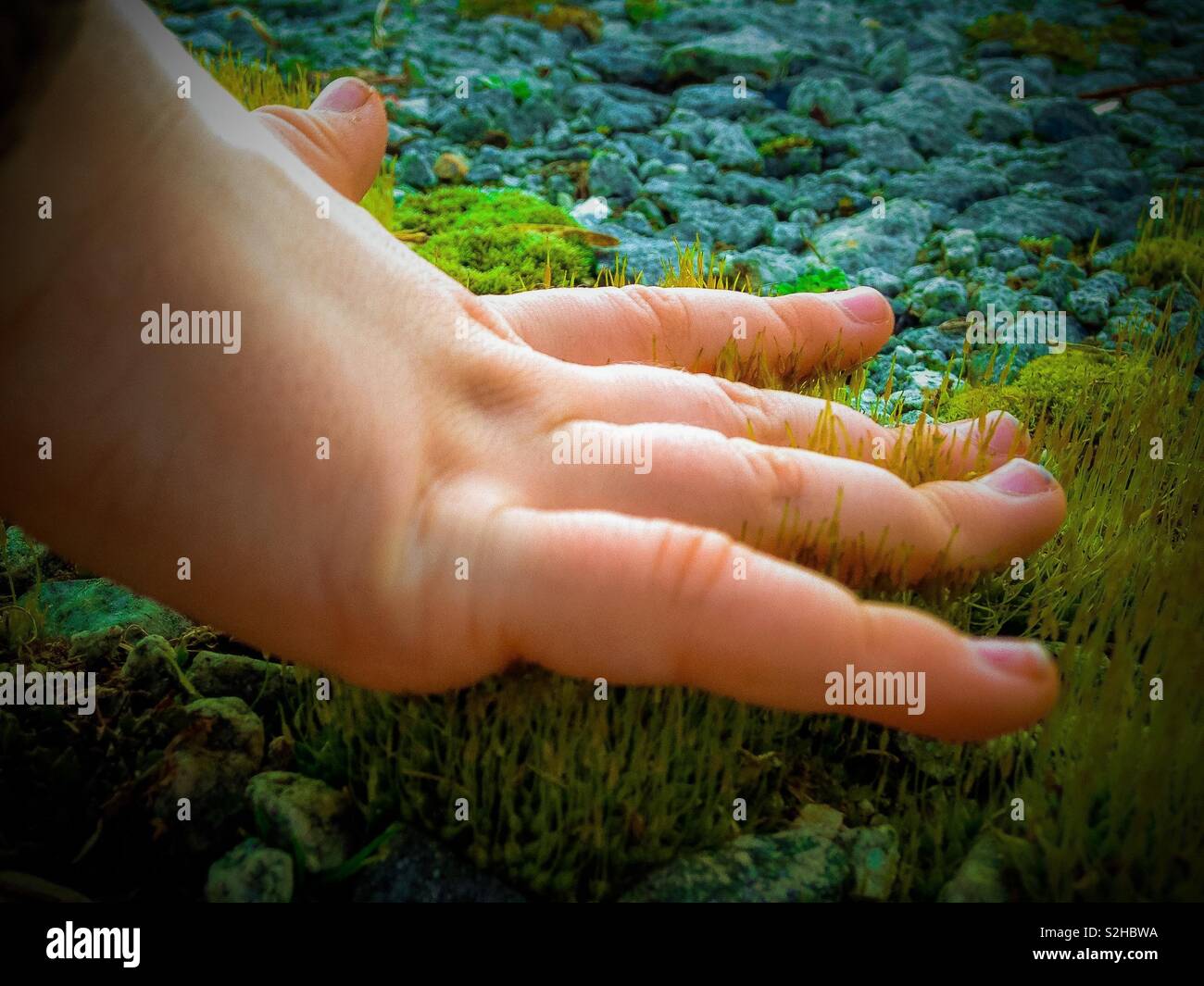 Small toddler hand feels soft grass sprouting during February thaw in North Carolina - Smartphone Captured Stock Image
