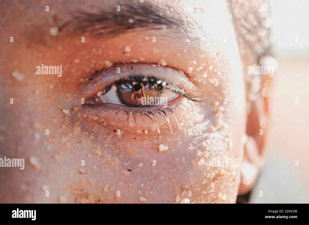 Eyebrows Stock Photo