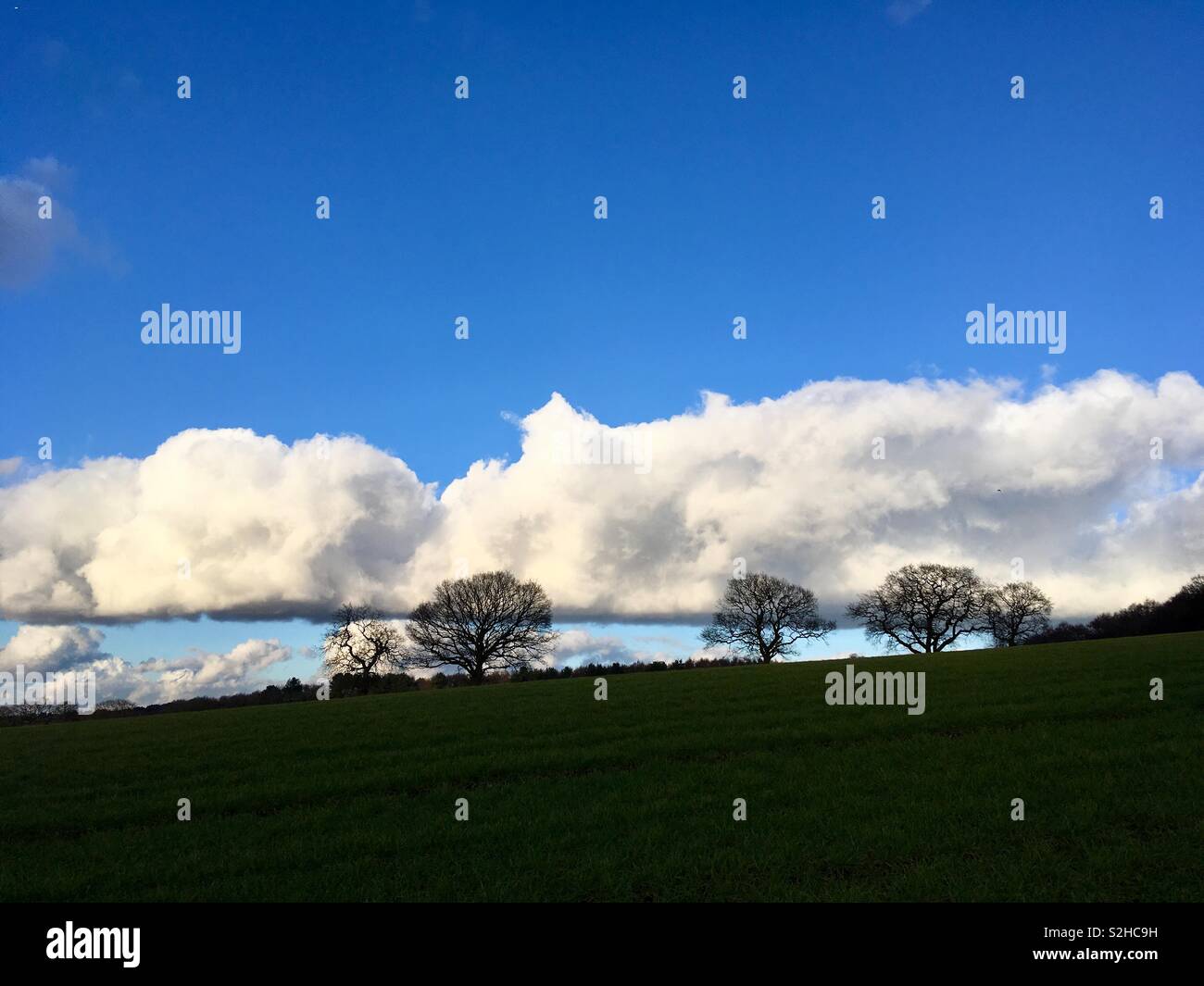 Nature abhors a straight line, said garden designer, William Kent. Mmmm. White, fluffy clouds, form a straight line, in a blue sky, above a green hill, and the silhouette of trees - Smartphone Captured Stock Image
