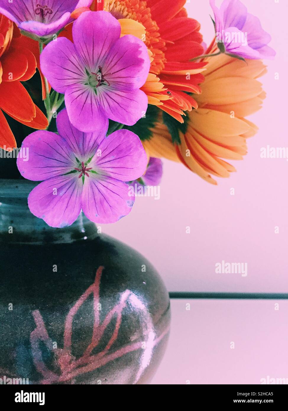Closeup of summer bouquet of orange her era daisies and pink perennial geraniums in earthenware vase. - Smartphone Captured Stock Image