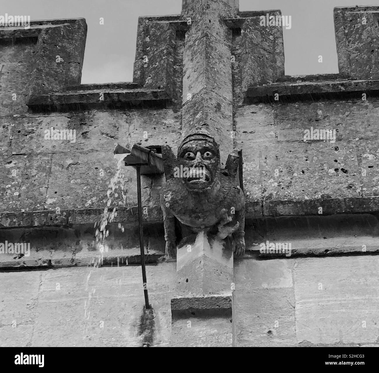 A Gargoyle on Winchcombe Church, in the Cotswoldswith water gushing out of a lead spout during a hail storm, with an worried expression and bulging eyes. Stock Photo