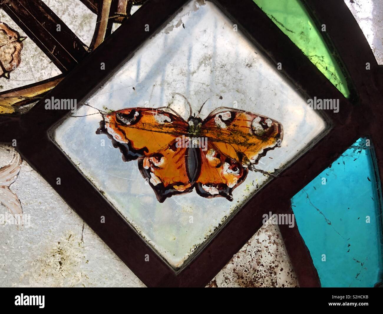 A beautifully depicted naturalistic butterfly in medieval stained or painted glass in an Oxfordshire church. - Smartphone Captured Stock Image