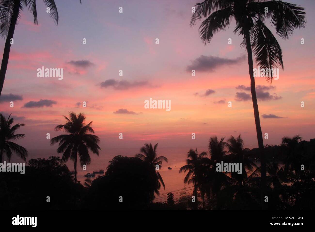 Thailand Koh Tao Stock Photo Alamy