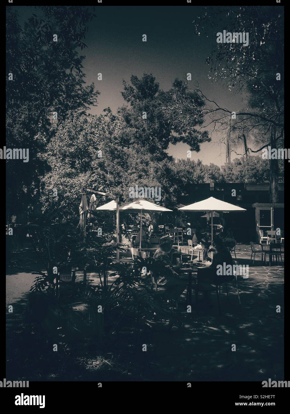 The Company ‘s Garden restaurant, Cape Town, South Africa. Black and white photo. - Smartphone Captured Stock Image