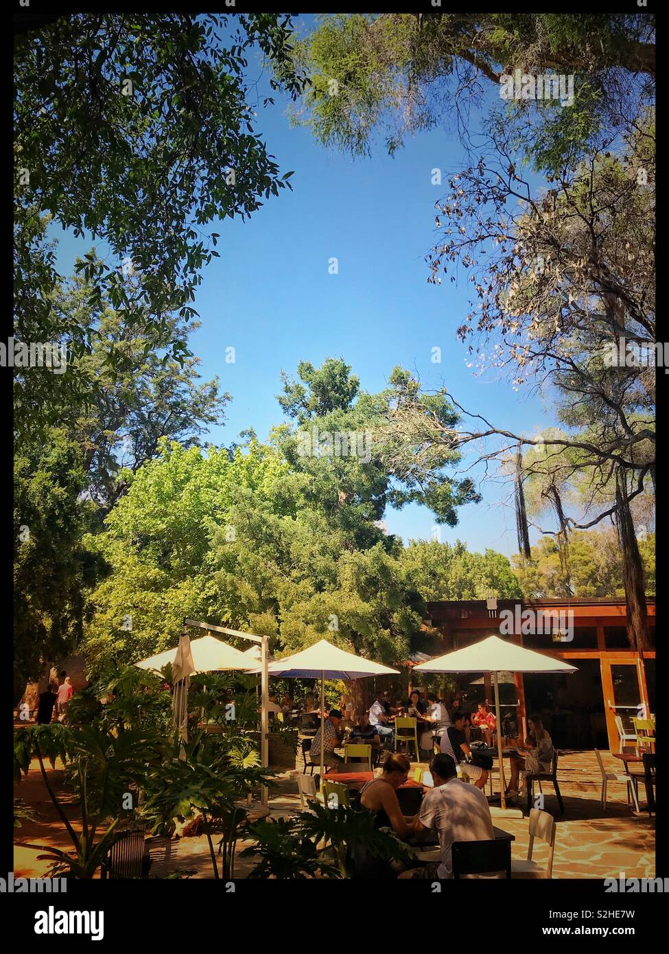 The Company ‘s Garden restaurant, Cape Town, South Africa. - Smartphone Captured Stock Image