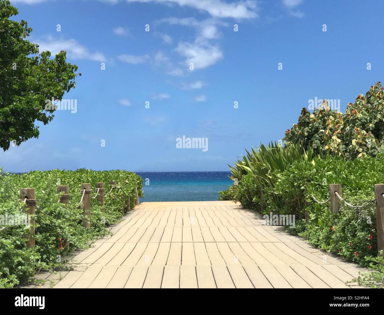 A wood boardwalk, flanked on both sides by lush foliage, leads to turquoise ocean water and a blue sky containing some scattered, white clouds. - Smartphone Captured Stock Image