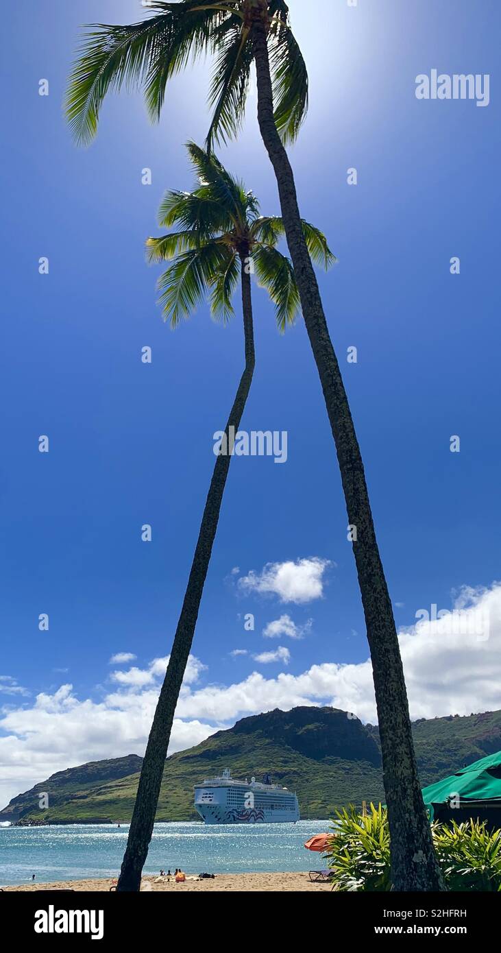 Ship in the palm Stock Photo - Alamy