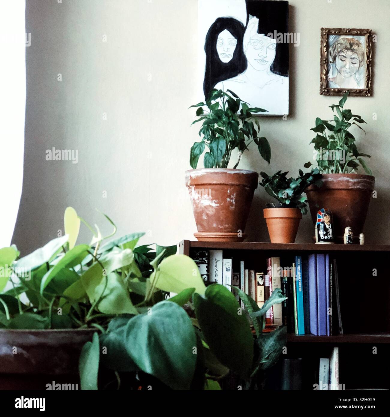 Plant lover’s place - Smartphone Captured Stock Image