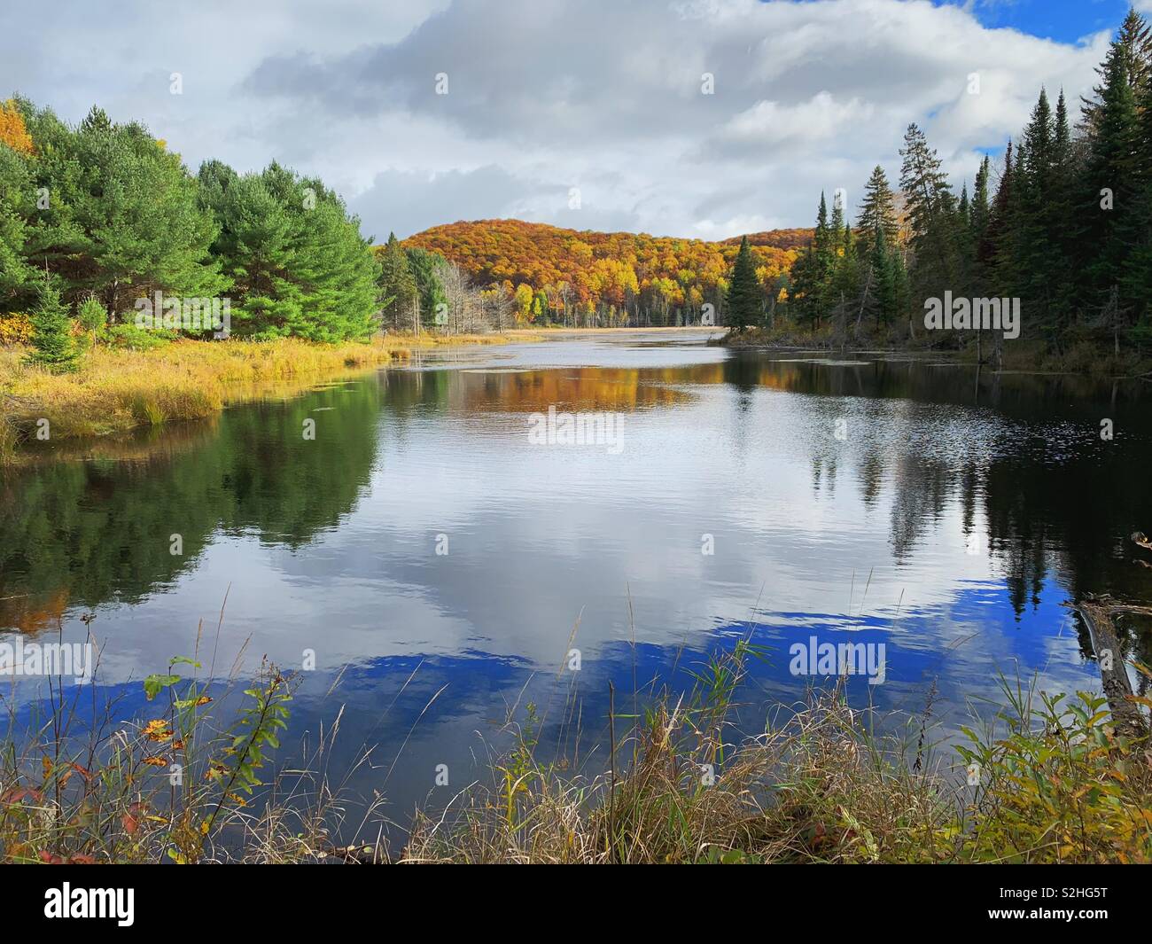 Gorgeous autumn day view of pond or small lake in northern Ontario Canada. Stock Photo