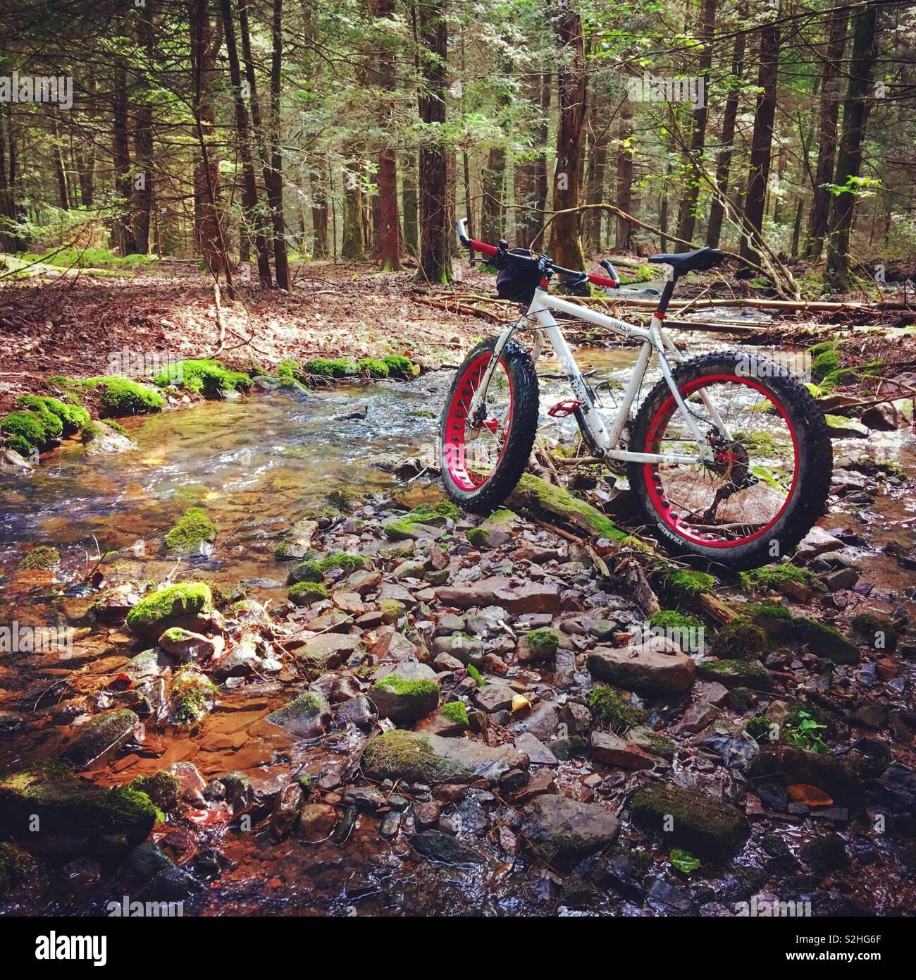Fat bike hires stock photography and images Alamy