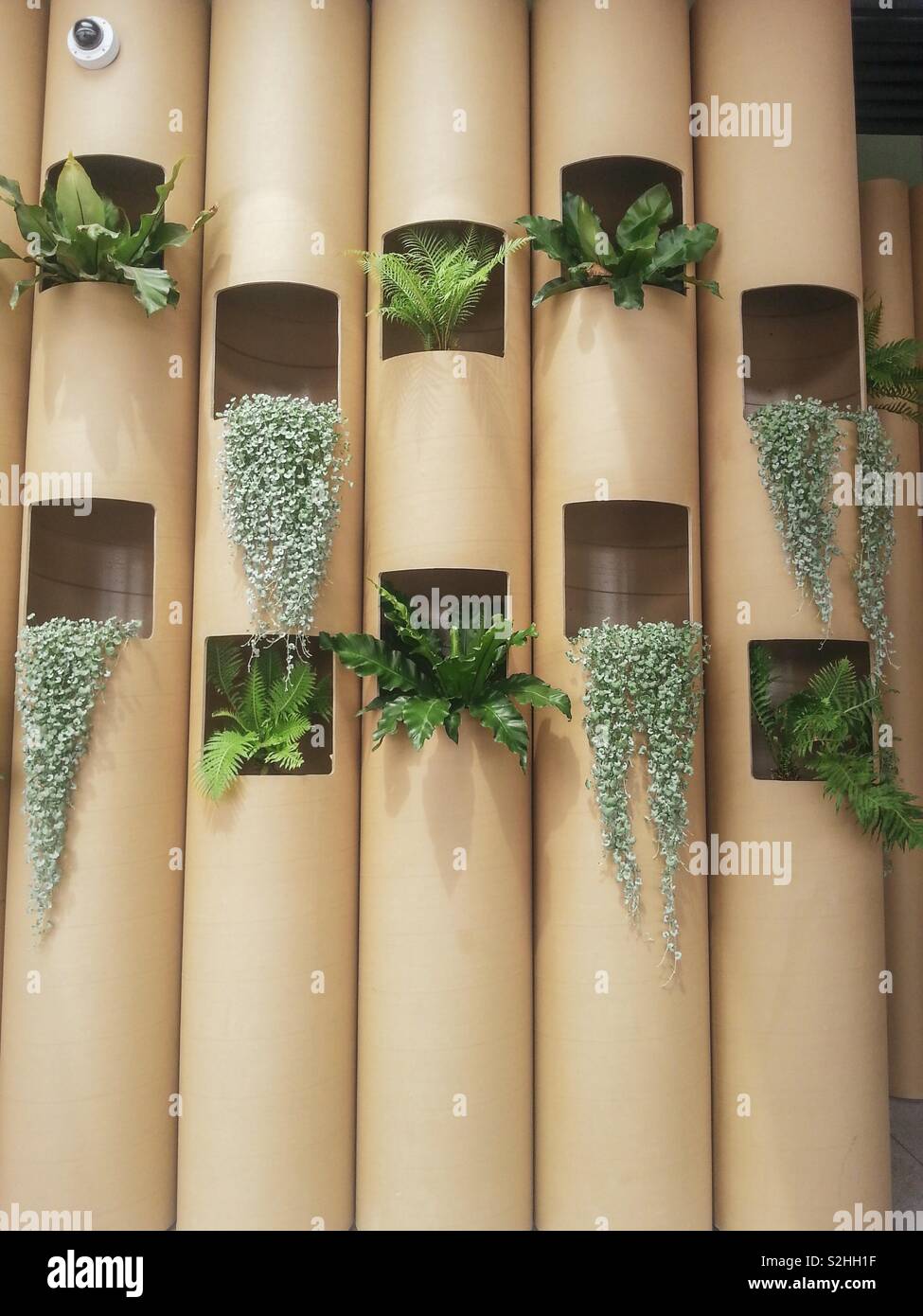 Sustainable plant pods Stock Photo Alamy