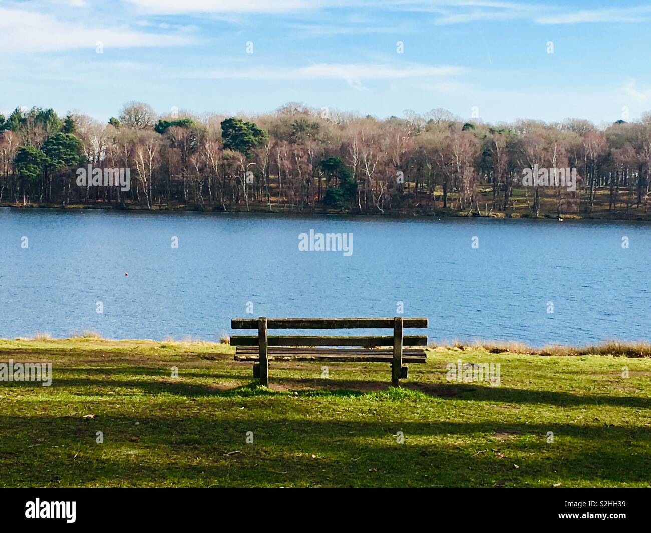 Empty bench overlooking lake on sunny winters day - Tatton Park, Knutsford, Cheshire, England Stock Photo