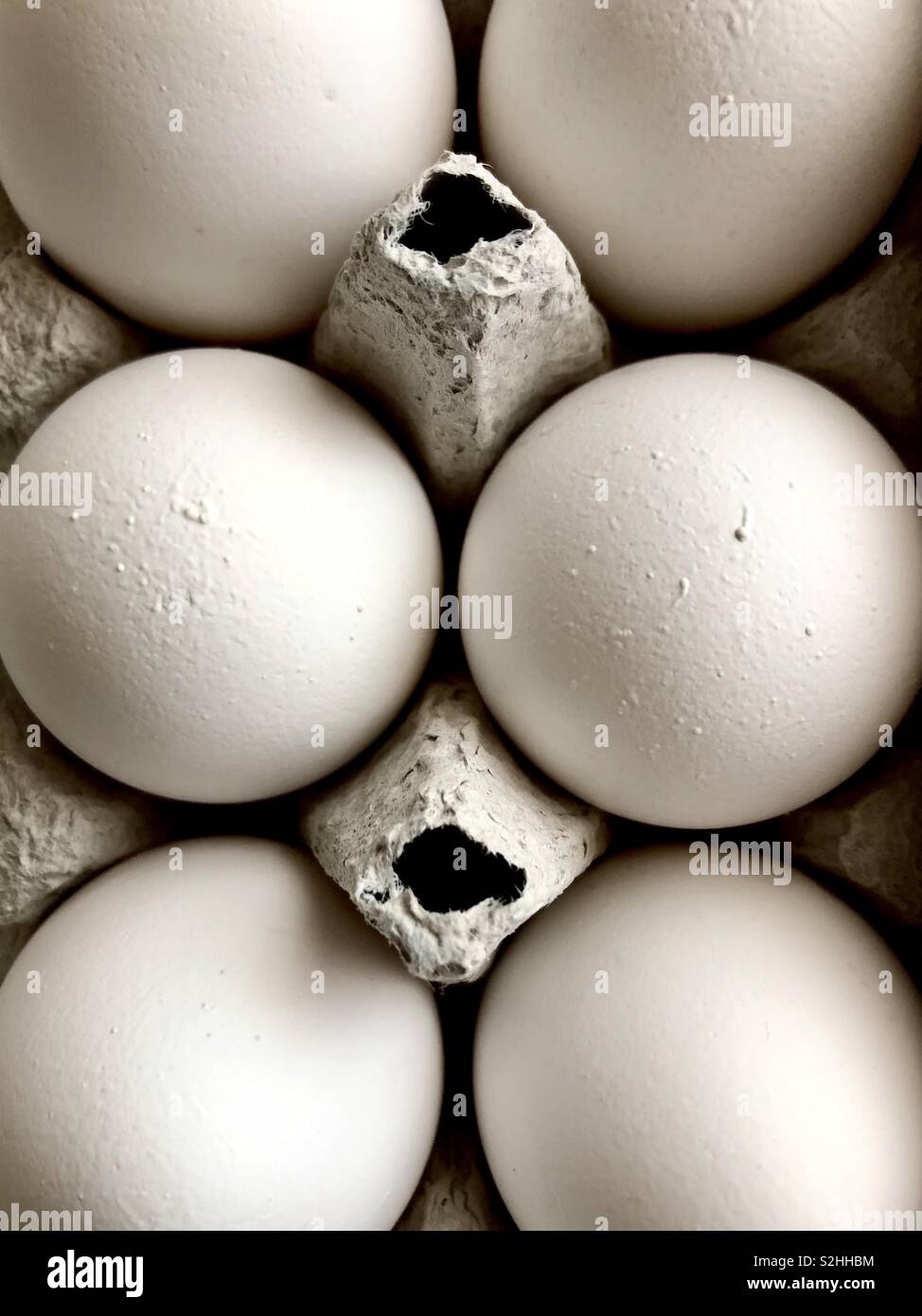 Top view of eggs in a carton - Smartphone Captured Stock Image