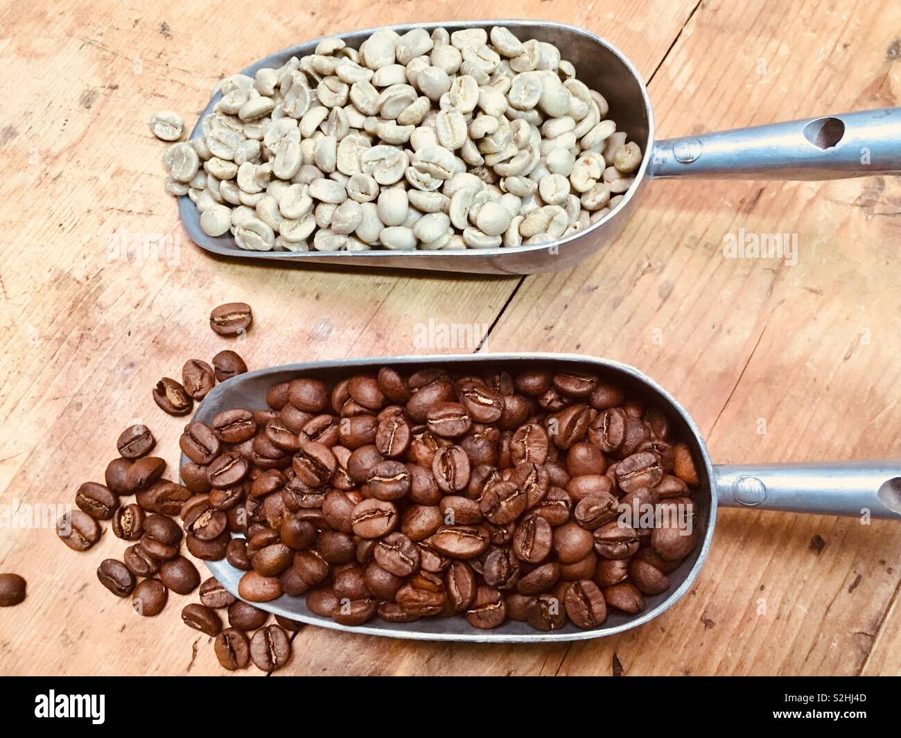 Coffee beans roasted and unroasted Stock Photo Alamy