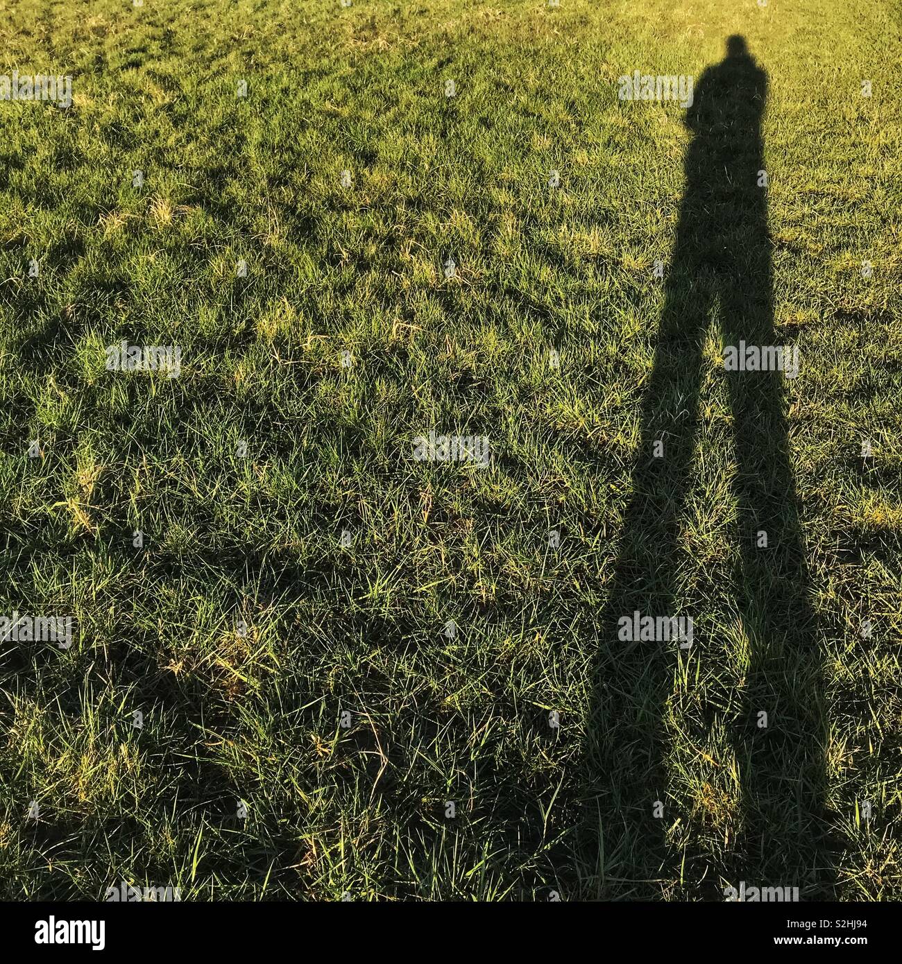 Silhouette of man standing in grass field Stock Photo - Alamy