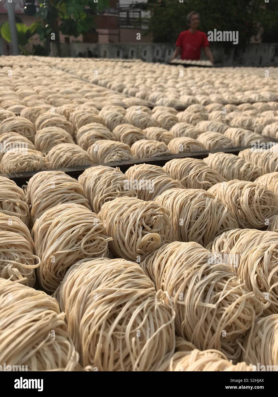 Drying uncooked noodles in open air, while the owner is collecting the dry ones in trays - Smartphone Captured Stock Image