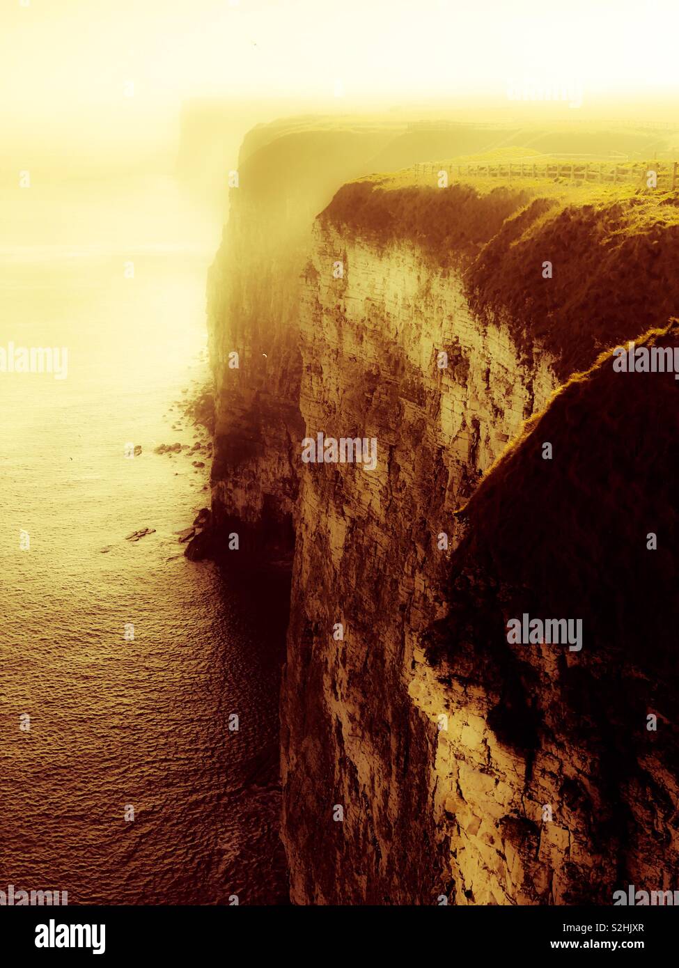 Sheer, chalk cliffs in golden light - Smartphone Captured Stock Image