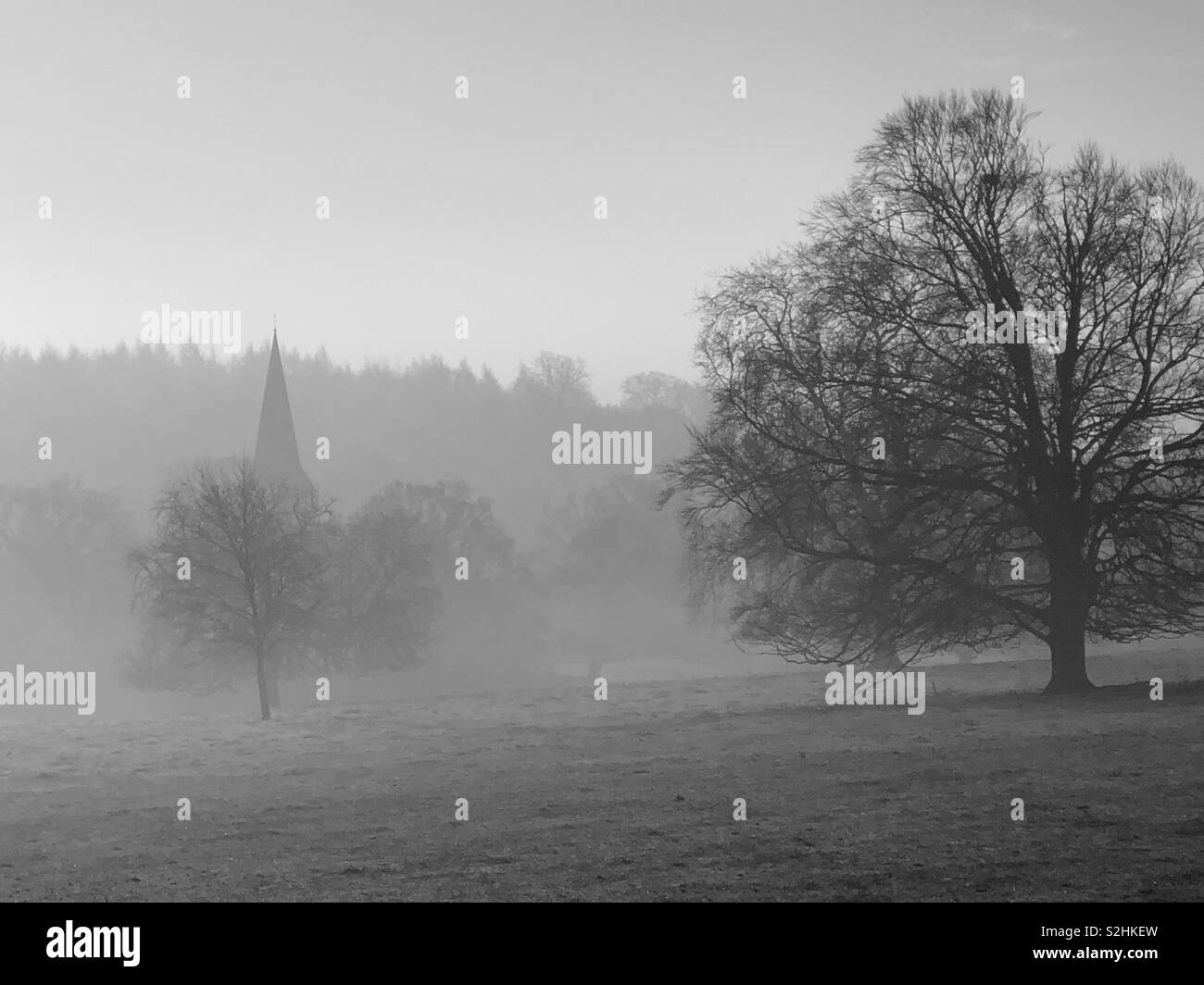 Beautiful early morning view across parkland with trees, mist and church spire. - Smartphone Captured Stock Image