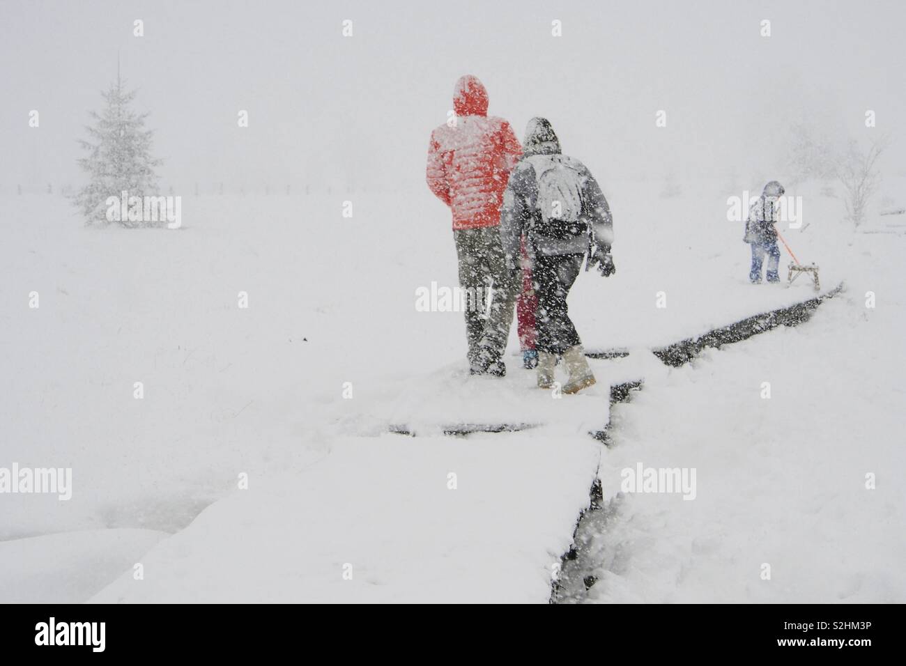 Family hike during a snow blizzard - Smartphone Captured Stock Image