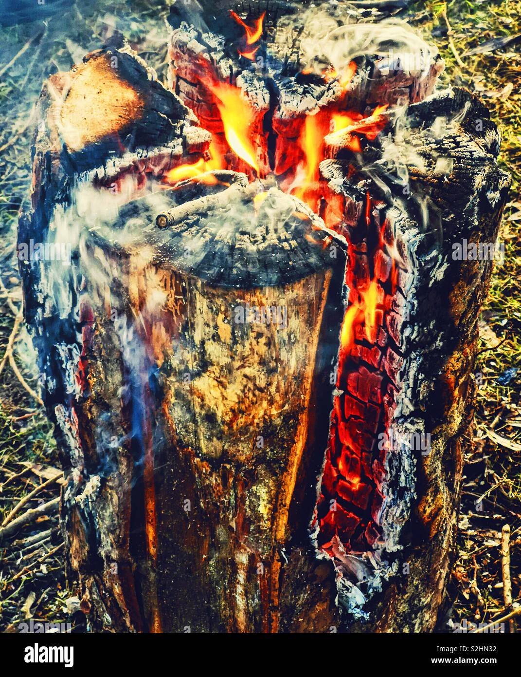 Swedish fire log burning, Sweden, Scandinavia. The logs are vertically