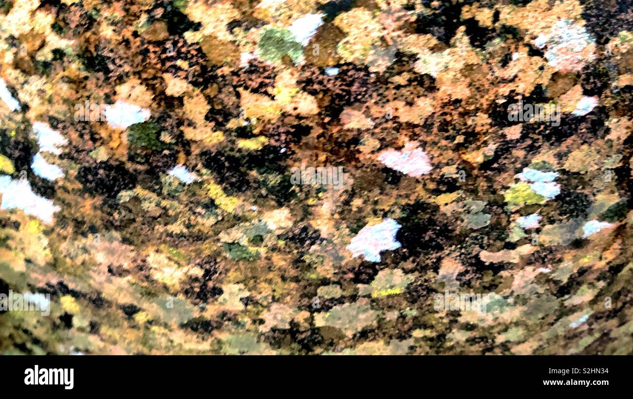 Mottled Example Mottled nature hi-res stock photography and images - Alamy