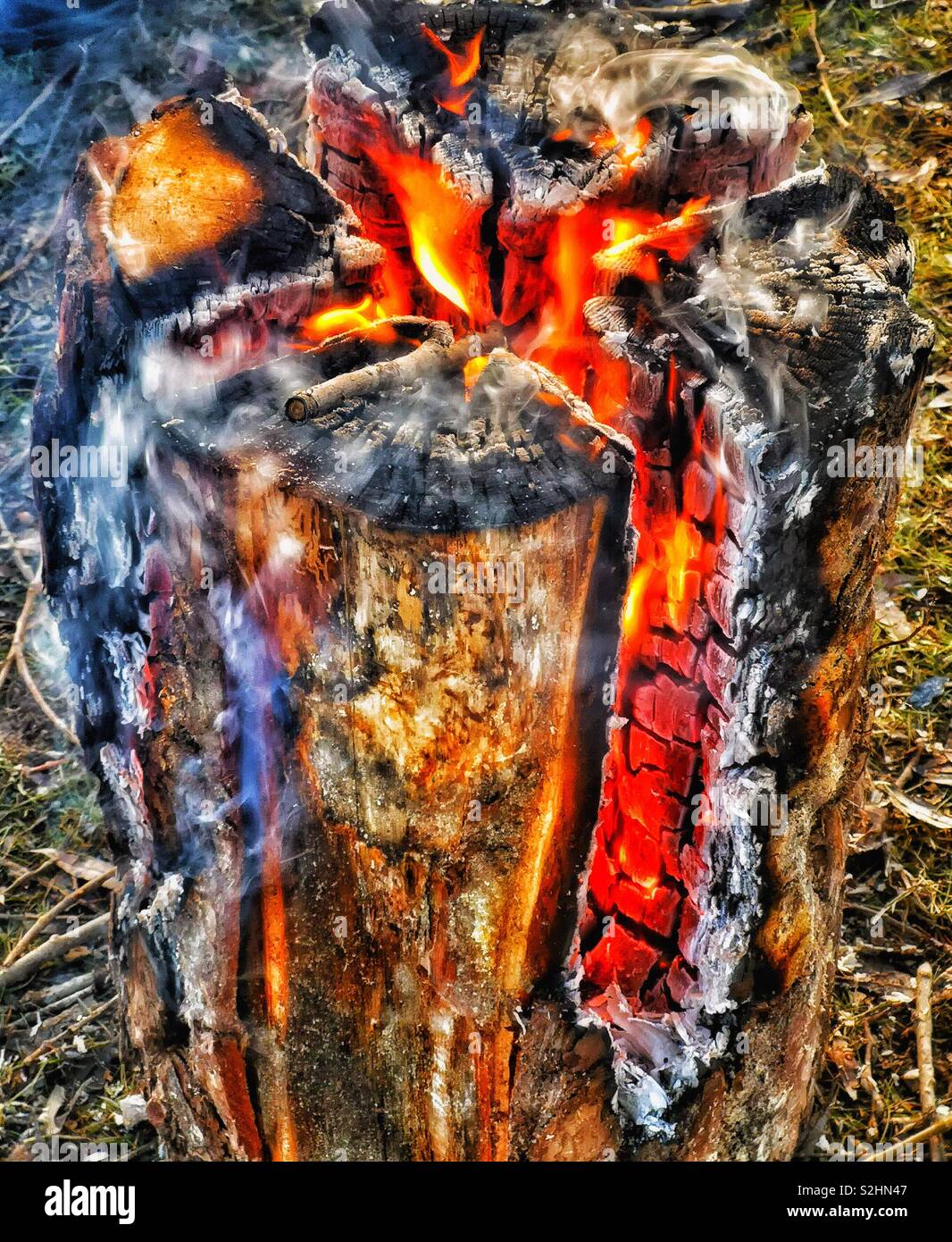 Swedish fire log burning, Sweden, Scandinavia. The logs are vertically cut and set on fire. The fire is self feeding and the log burns from inside out. The fire can last for up to 5 hours - Smartphone Captured Stock Image
