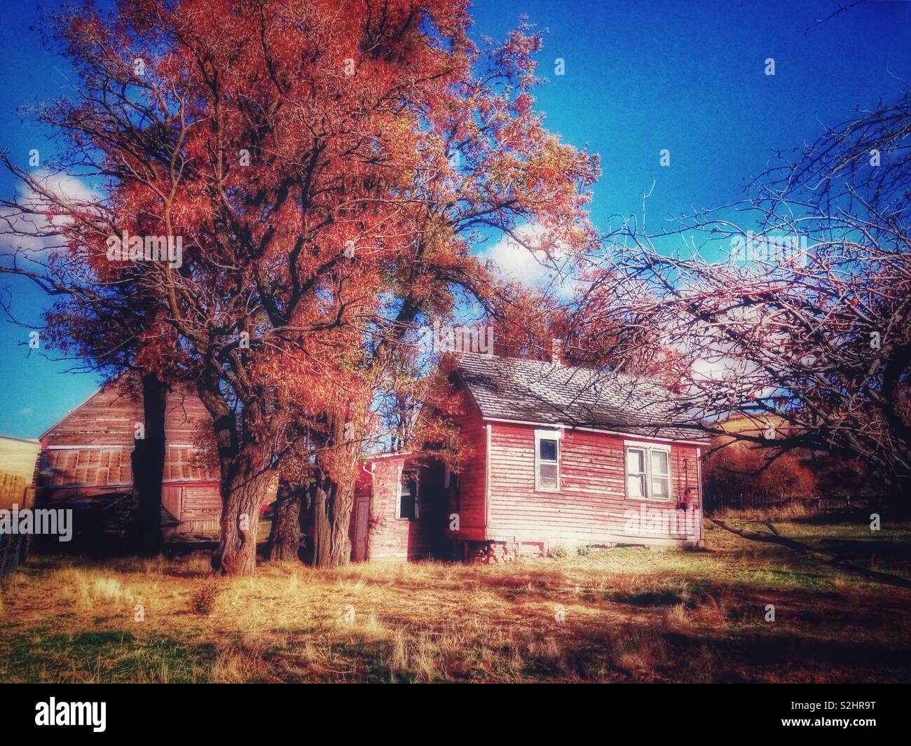 Red barn and house in Eastern Washington state - November - Smartphone Captured Stock Image
