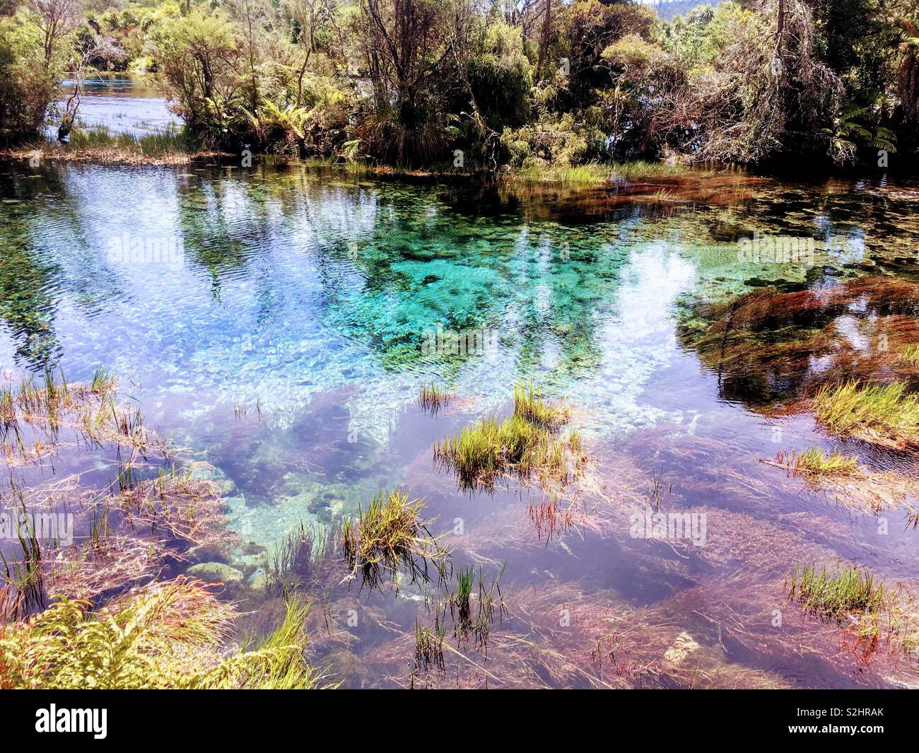 Te Waikoropupū springs in New Zealand Stock Photo