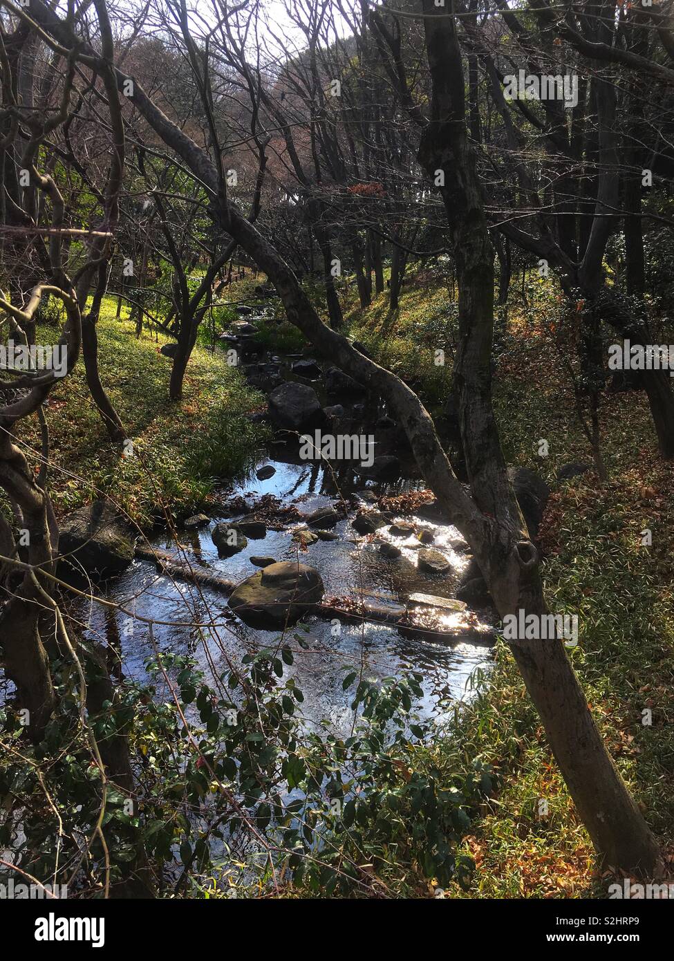 Brook little hires stock photography and images Alamy