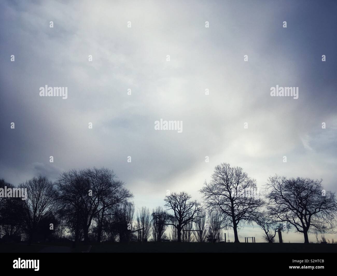 Trees in a park Stock Photo - Alamy