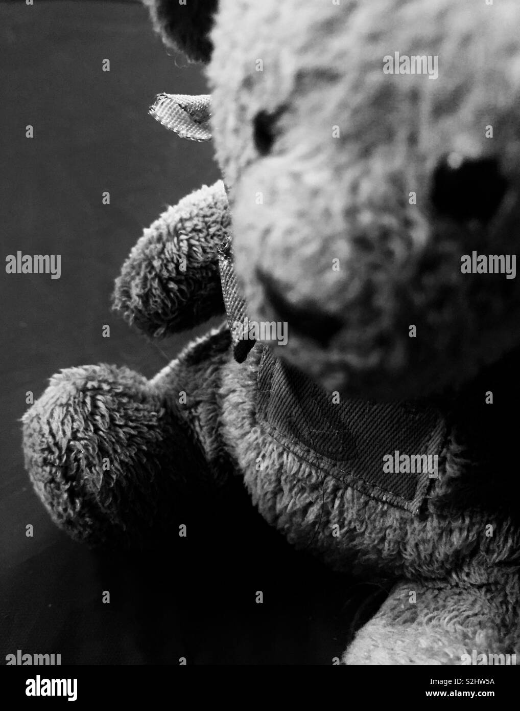 A solemn picture of a stuffed toy. Stock Photo
