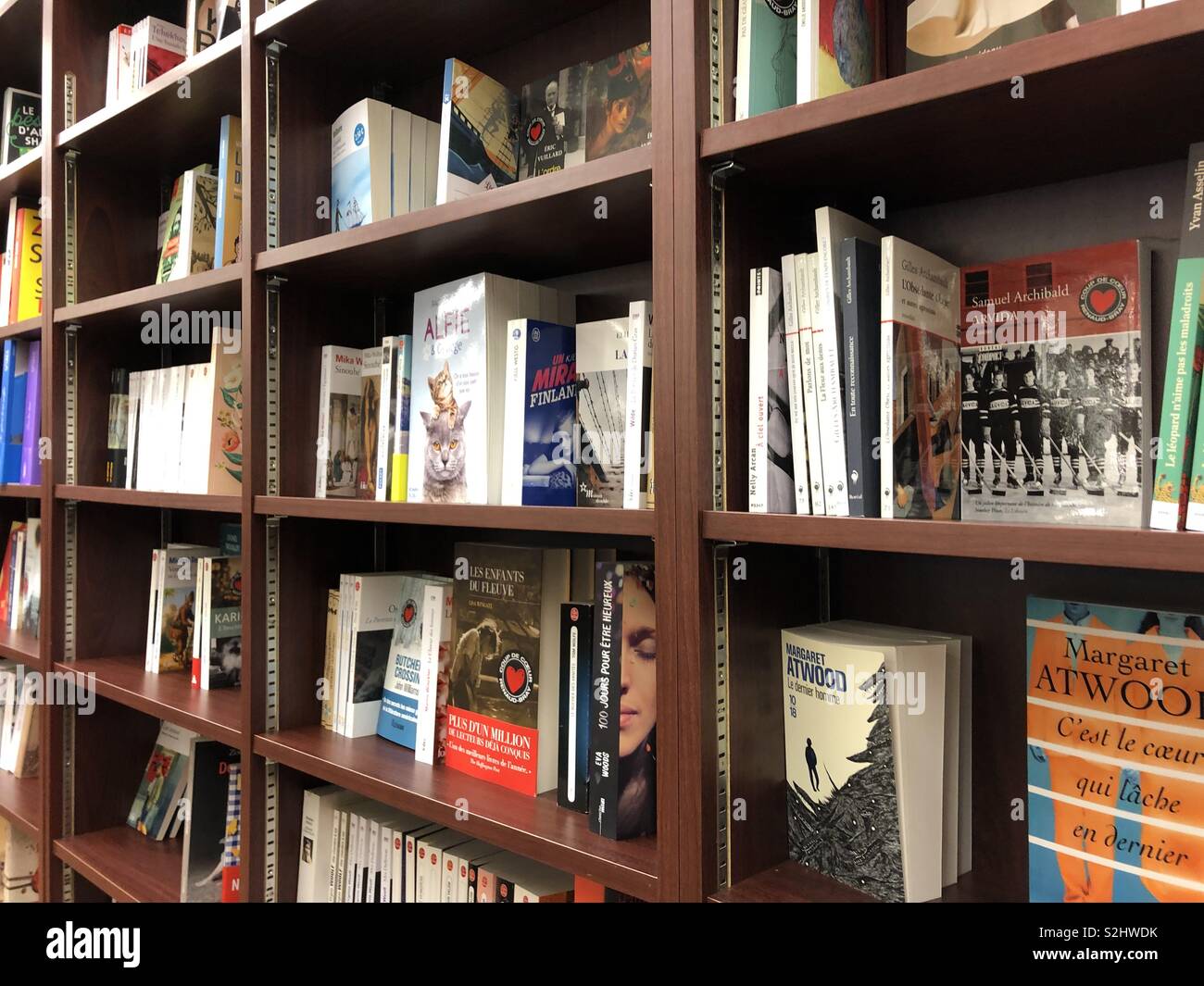 Bookshelfs in a library - Smartphone Captured Stock Image