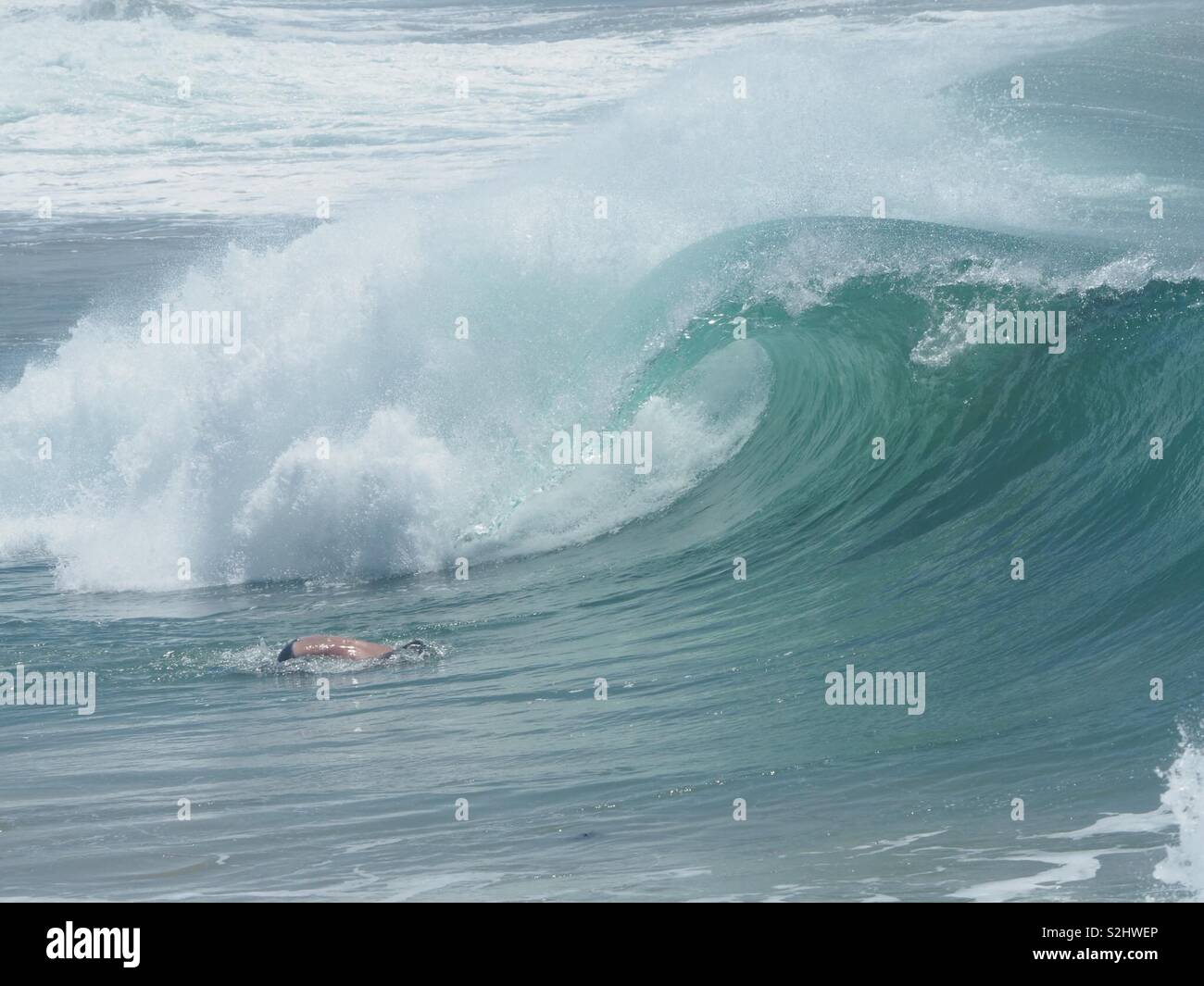Surfers at the Jetty Coffs Harbour Boogie board riders Stock Photo Alamy