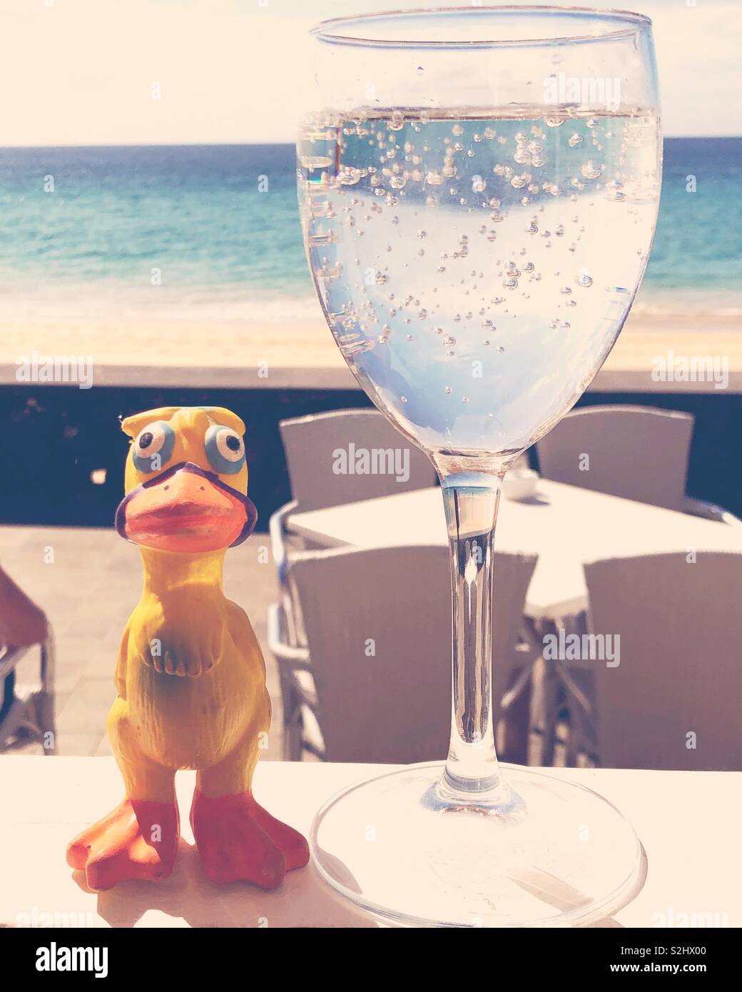 Water glass and duck. - Smartphone Captured Stock Image