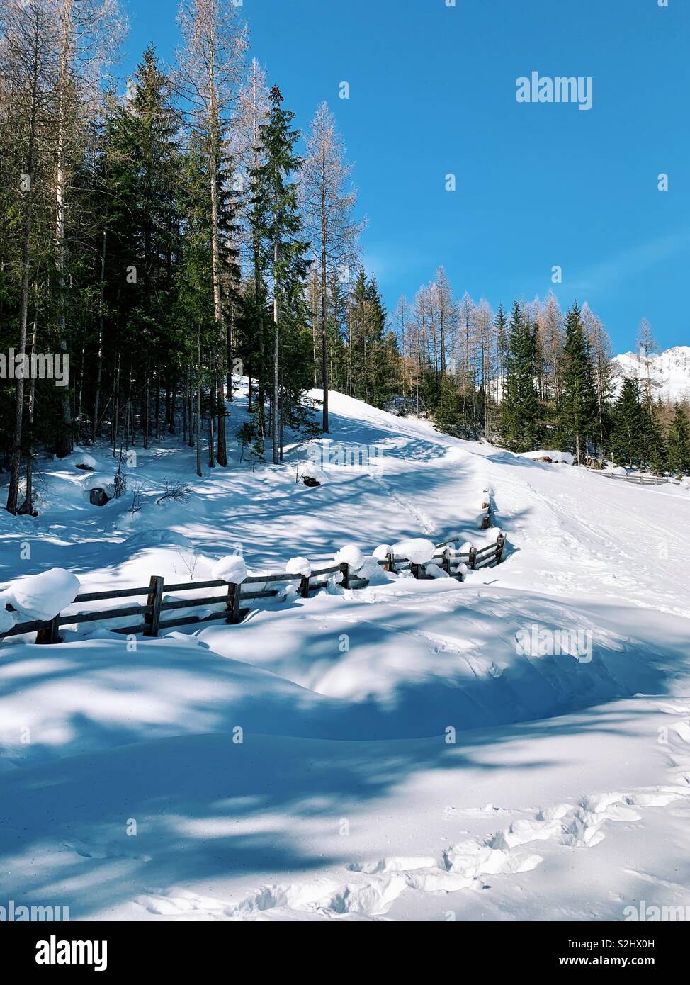 Winter Stock Photo