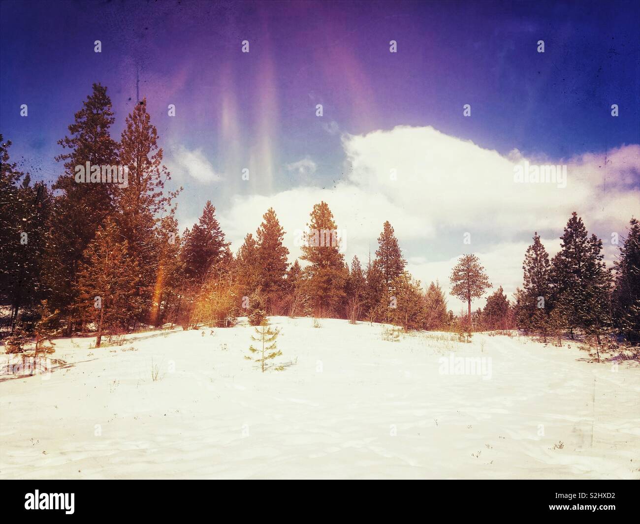 Winter landscape. Stock Photo