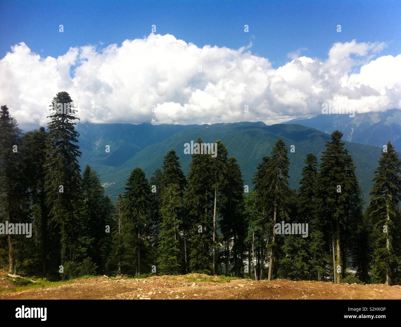 Landscape view of trees against the mountains in Krasnaya Polyana, Sochi, Krasnodarskiy Krai, Russia. Stock Photo