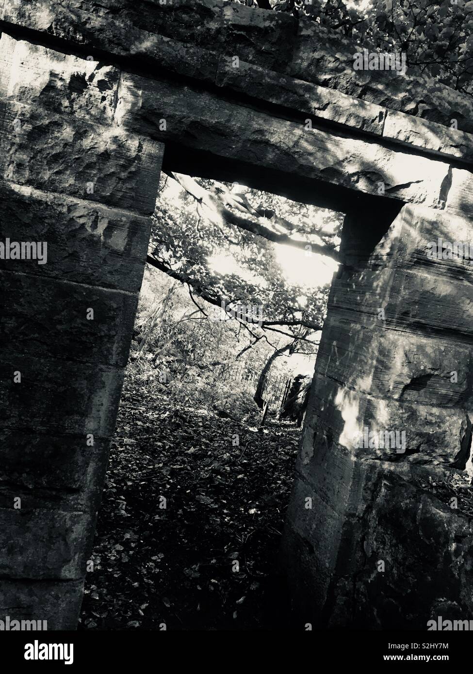 Stone portal - Smartphone Captured Stock Image