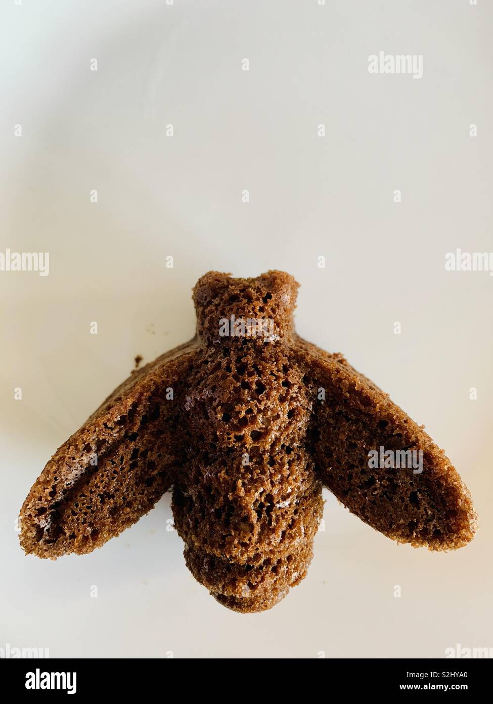 Chocolate cake in the shape of a bumblebee on a white plate - Smartphone Captured Stock Image