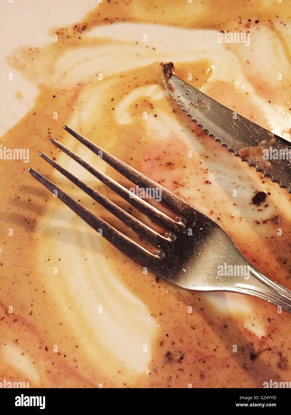 Empty Plate - Smartphone Captured Stock Image