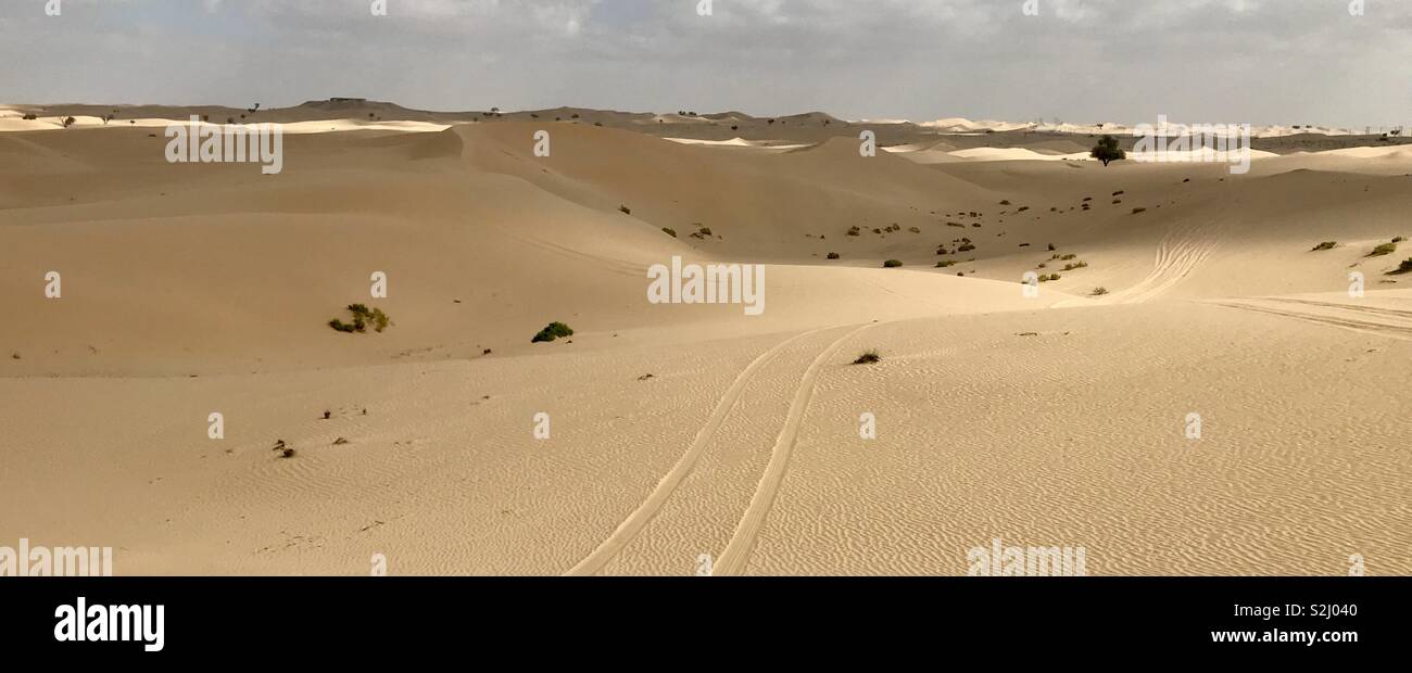Abu Dhabi desert - Smartphone Captured Stock Image