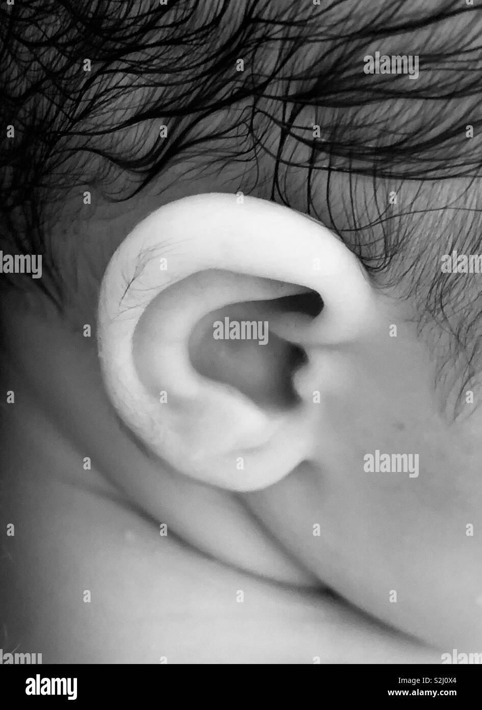 A 5 month old baby girl’s ear in black and white Stock Photo