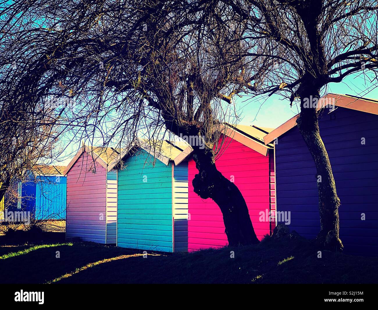 Brightly painted beach huts in front of leafless trees in the spring sunshine - Smartphone Captured Stock Image