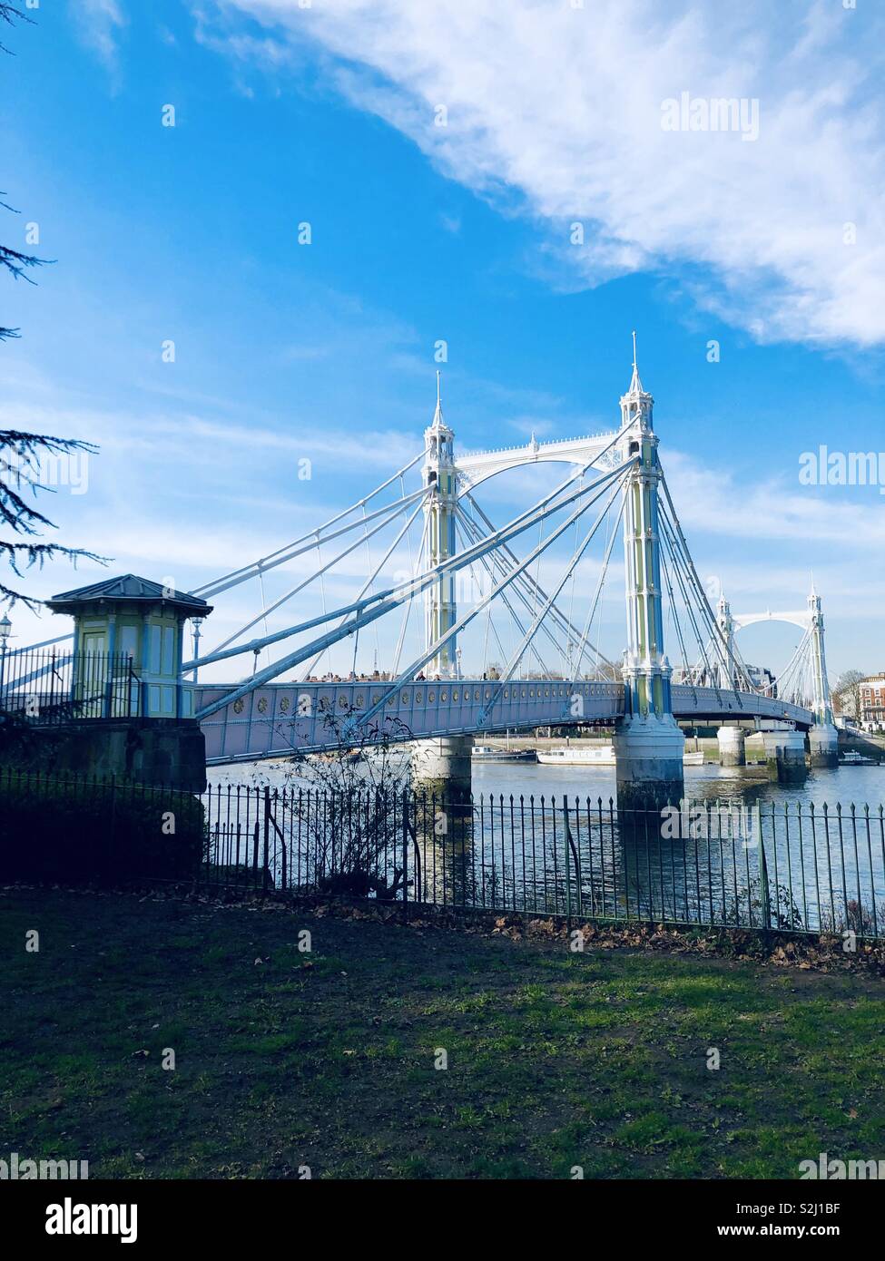Albert bridge over river Thames in London in England Stock Photo - Alamy