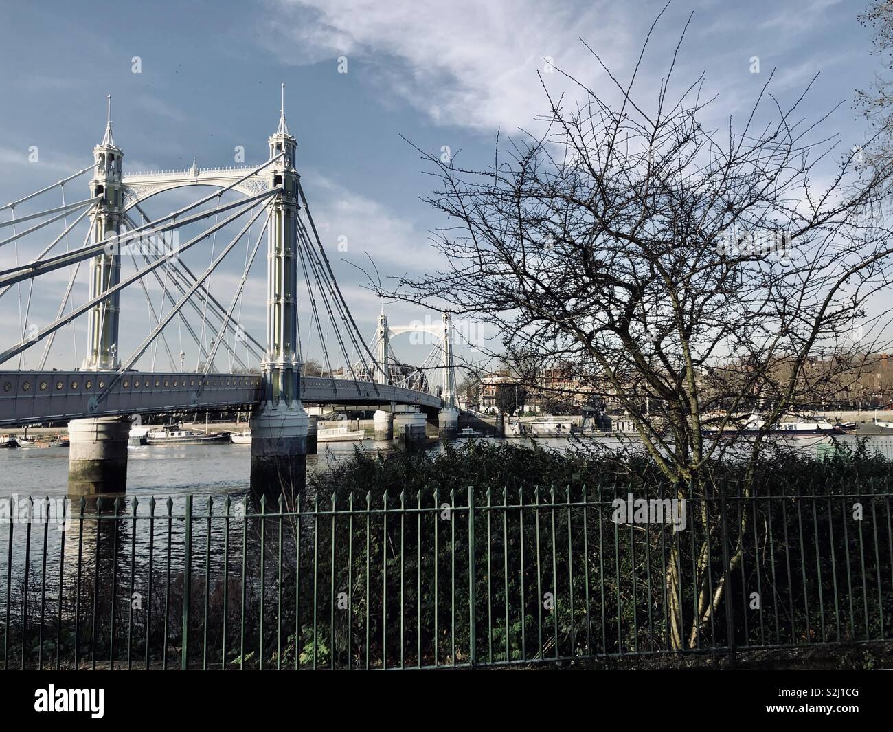 Albert bridge from Battersea Park in South London Stock Photo Alamy