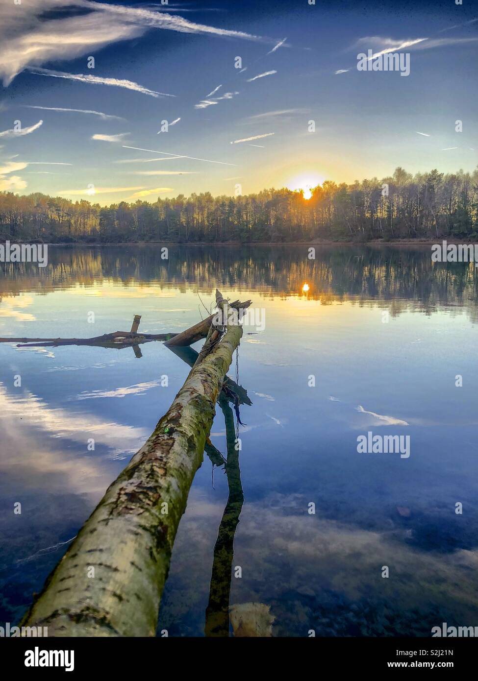 Sunset or sunrise behind the forest as seen from the shore of a lake with a branch leading into the picture and the blue sky and white fluffy clouds reflected in the water surface - Smartphone Captured Stock Image