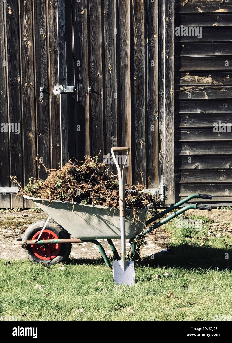 Gardening Leave - Smartphone Captured Stock Image