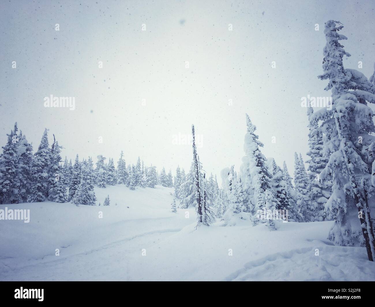Snowy winter alpine landscape. Stock Photo