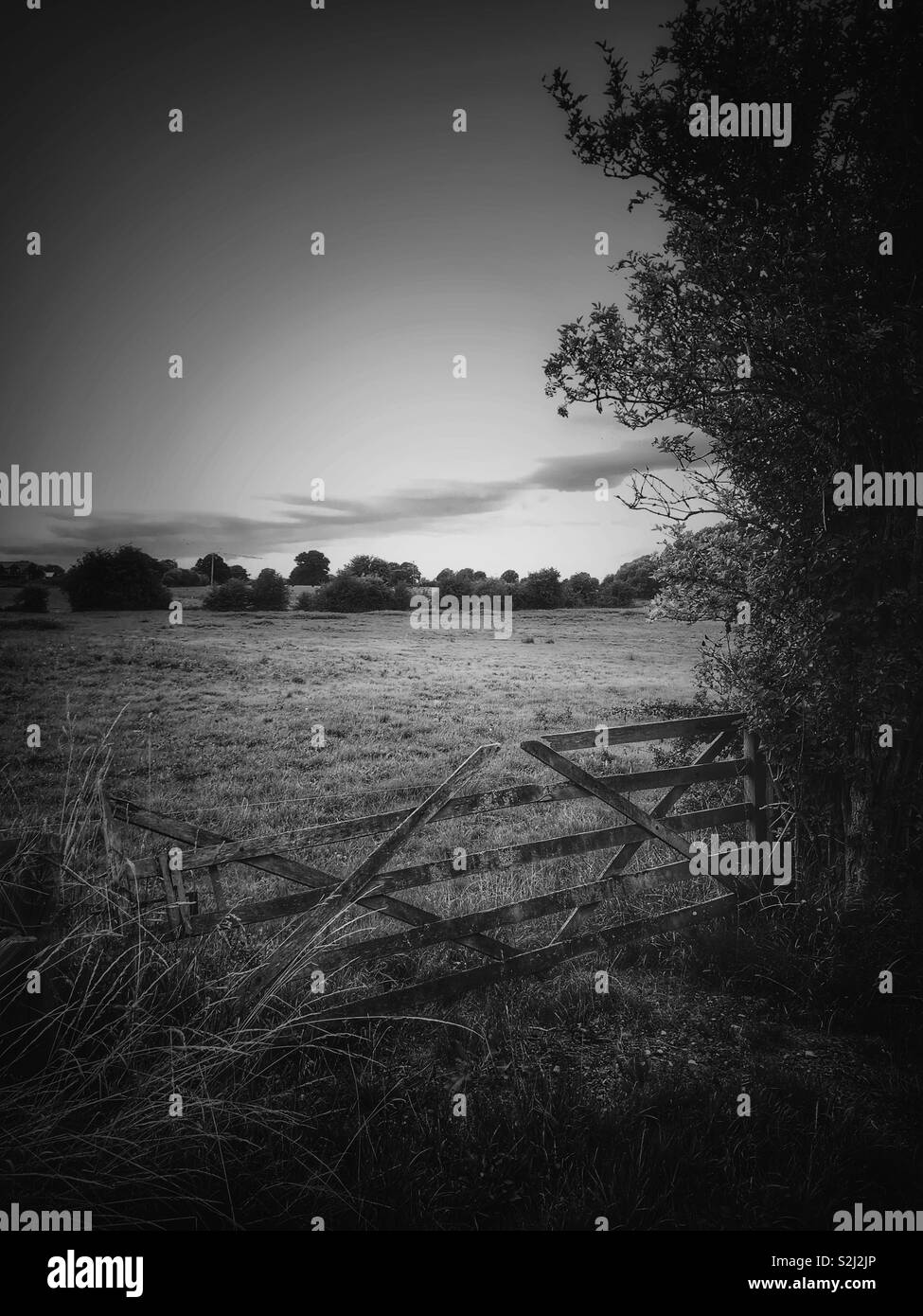 Countryside view in Cheshire UK - Smartphone Captured Stock Image